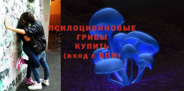 амф Михайловск